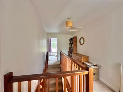 Picture 14